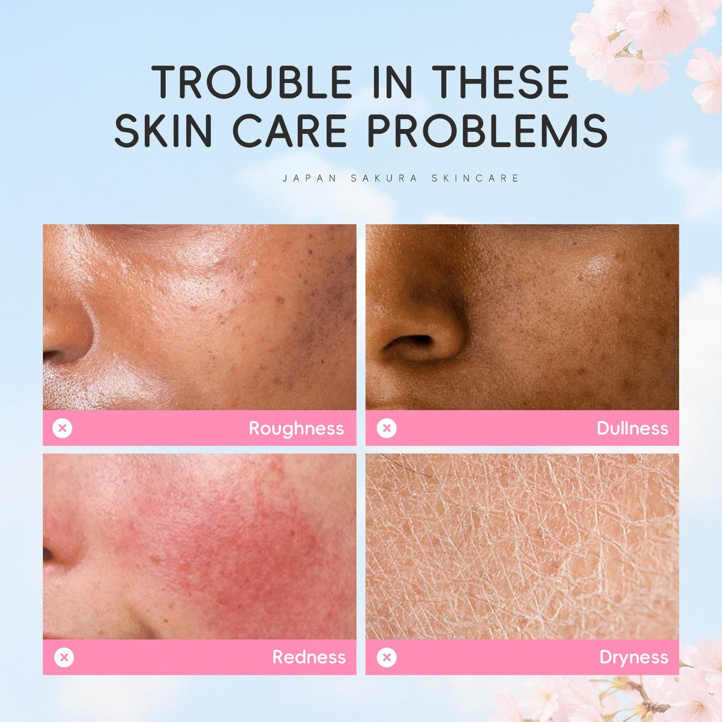 DR Japan Sakura Refreshing Toner