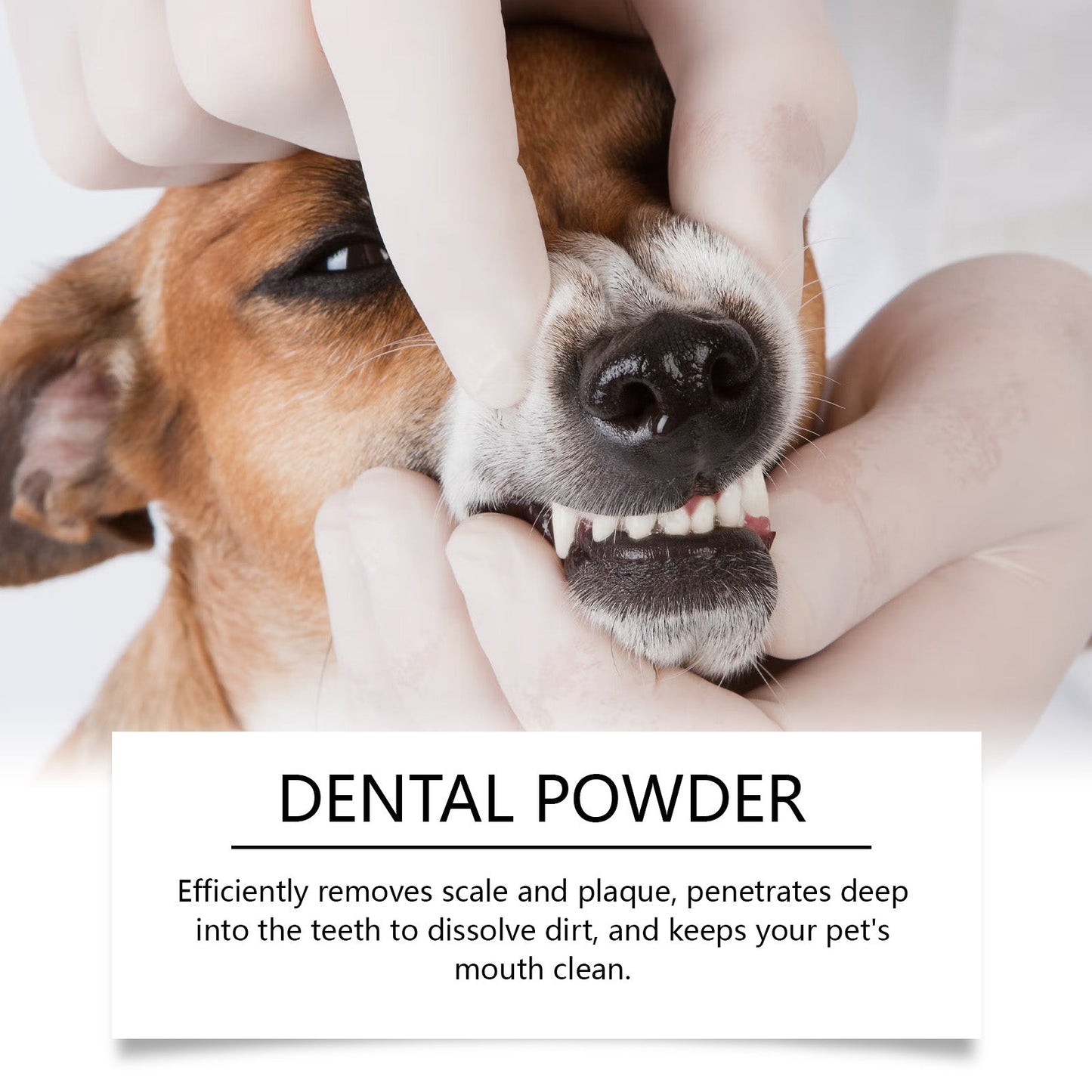 Cat And Dog Teeth Cleaning Powder
