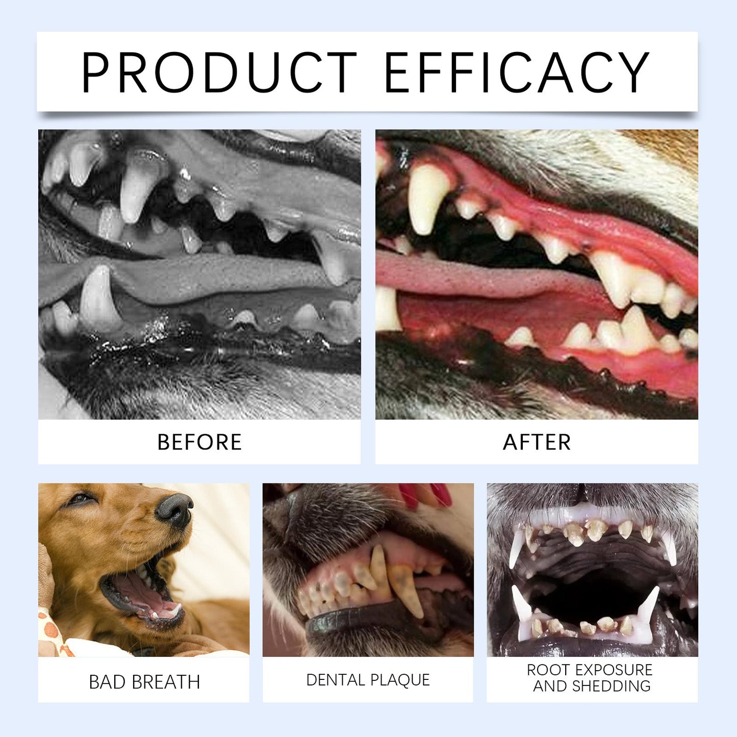 Cat And Dog Teeth Cleaning Powder