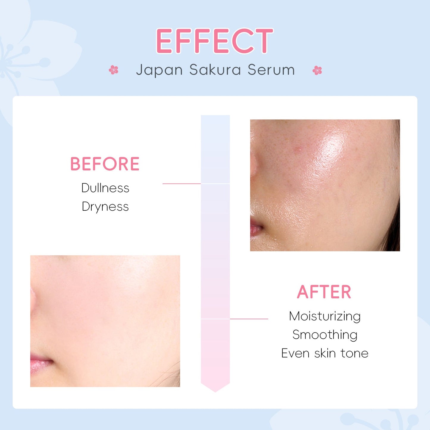 DR Japanese Cherry Blossom