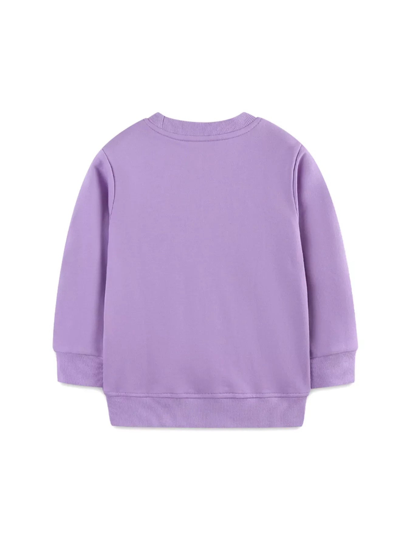 Children's Dinosaur Graphic Round Neck Sweatshirt