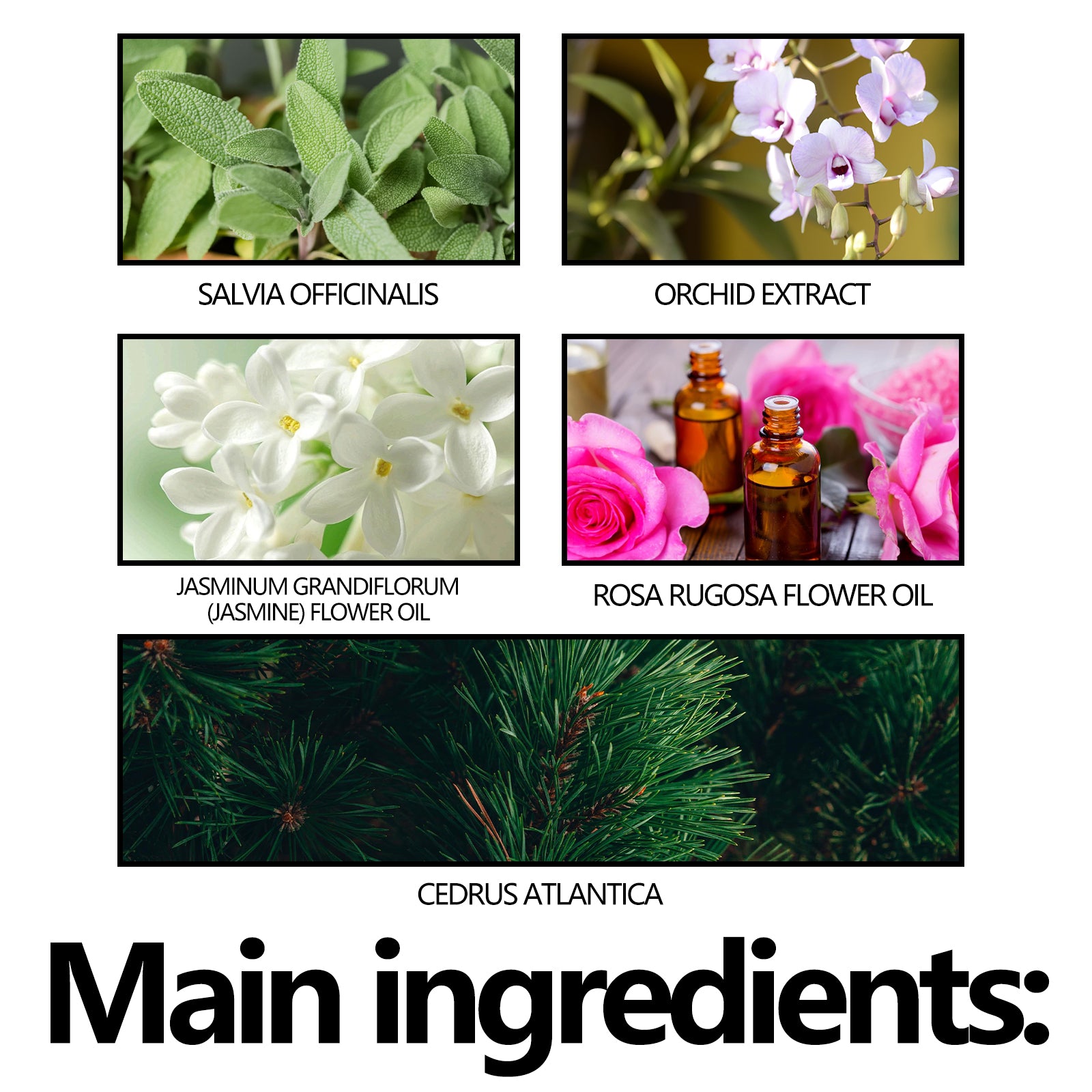 4eaca2de1c6da27208b0c893b8023ec4