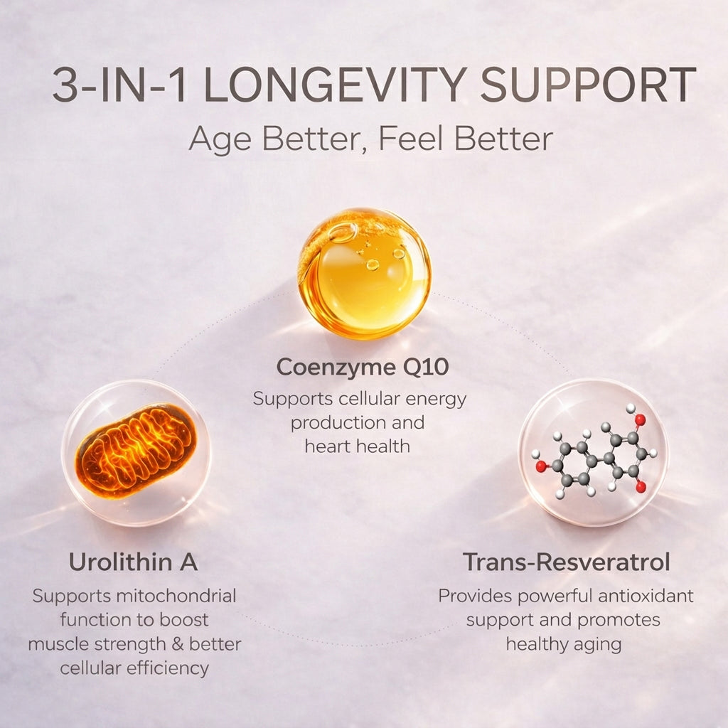 WINYEL Urolithin A Supplement Gummies - For Healthy Aging Cellular Energy Muscle Strength And Longevity - 60 Gummies